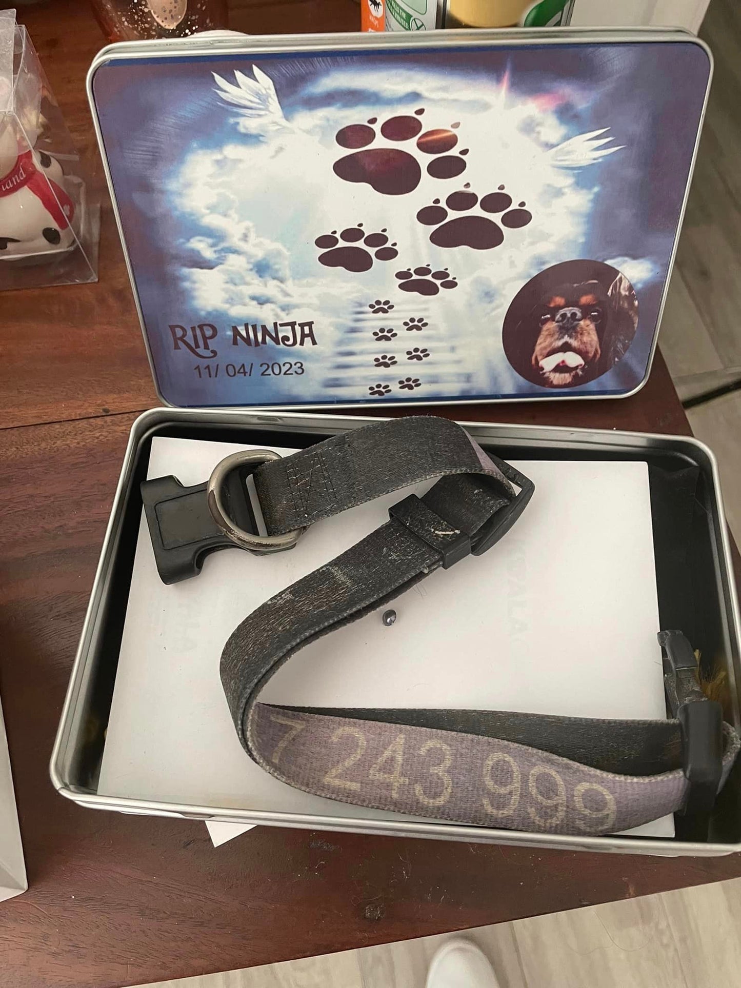 Memory Box for your pet that have crossed the rainbow bridge